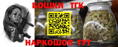 МДПВ Новодвинск