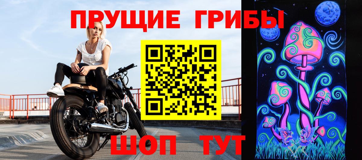 Псилоцибиновые грибы прущие грибы Сланцы