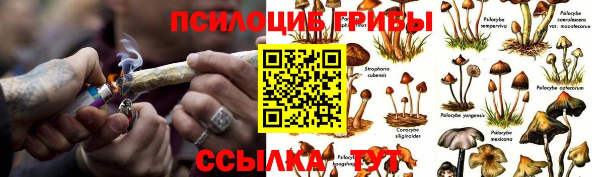 Сланцы  Псилоцибиновые грибы ЛСД  Вход с VPN 
