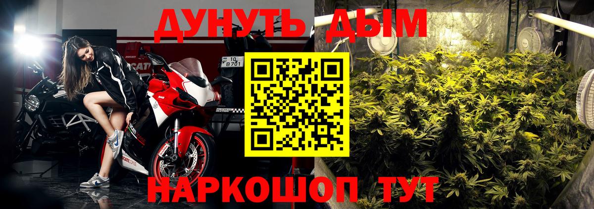 Галлюциногенные грибы Сланцы